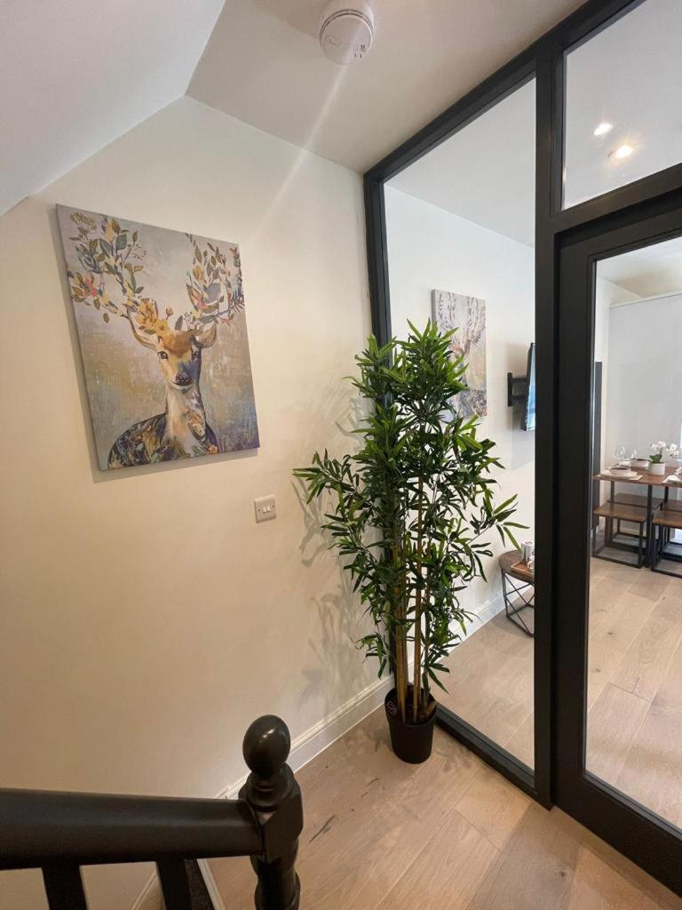 Two Bedroom Apartment - 런던 외부 사진